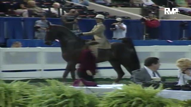 2000 WCHS Class 66 Equitation Open Ri...