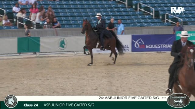 LJL22 - Class 24 - ASB Junior Five Ga...