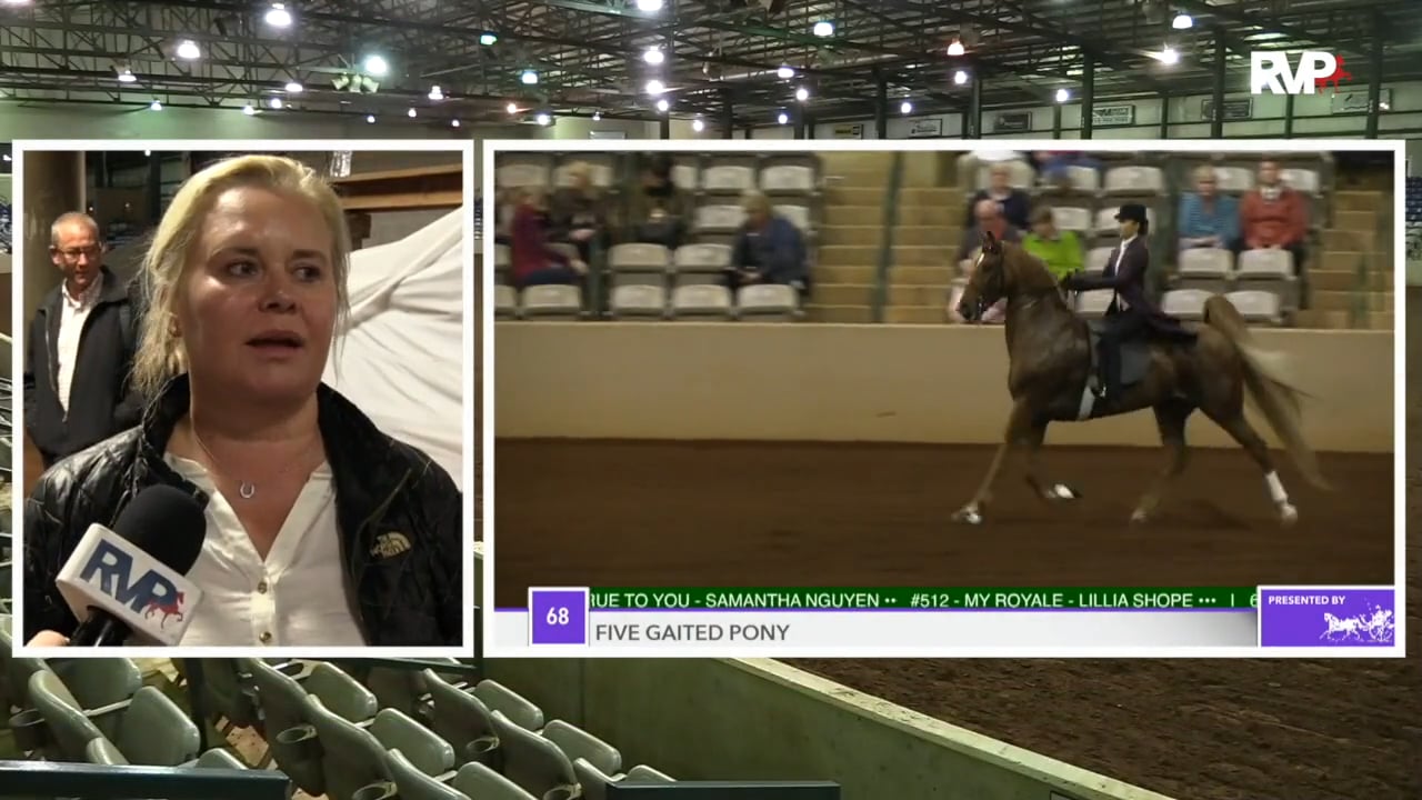 SSFF18 - Class 66B- Monnington Marcsman