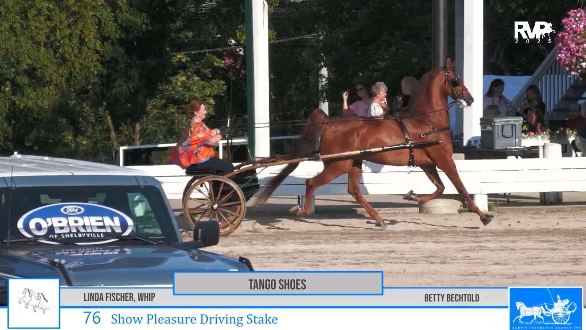 SSC25 - Class 76 - Show Pleasure Driving Stake