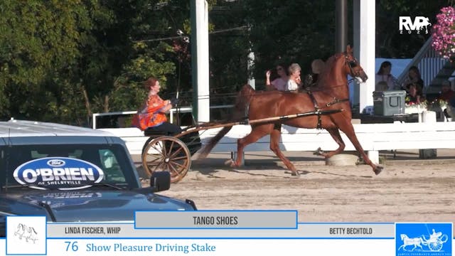 SSC25 - Class 76 - Show Pleasure Driv...