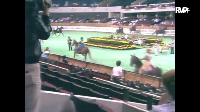 1989 WCHS Class 41 Equitation Open Ri...
