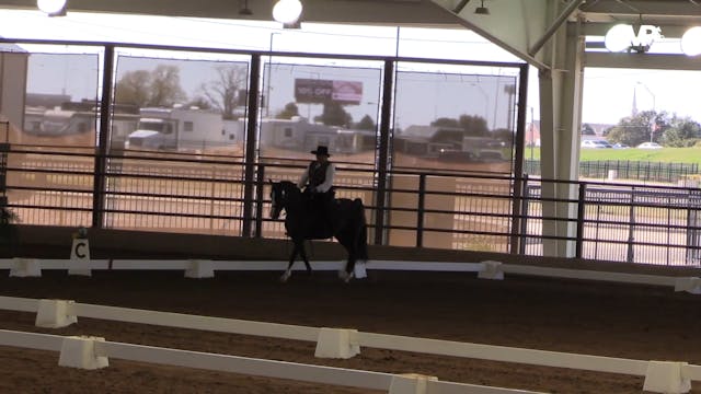 MGN19 - Class 621 - Western Dressage ...