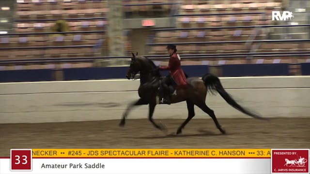 2020 JMHS - Class 33 Amateur Park Saddle