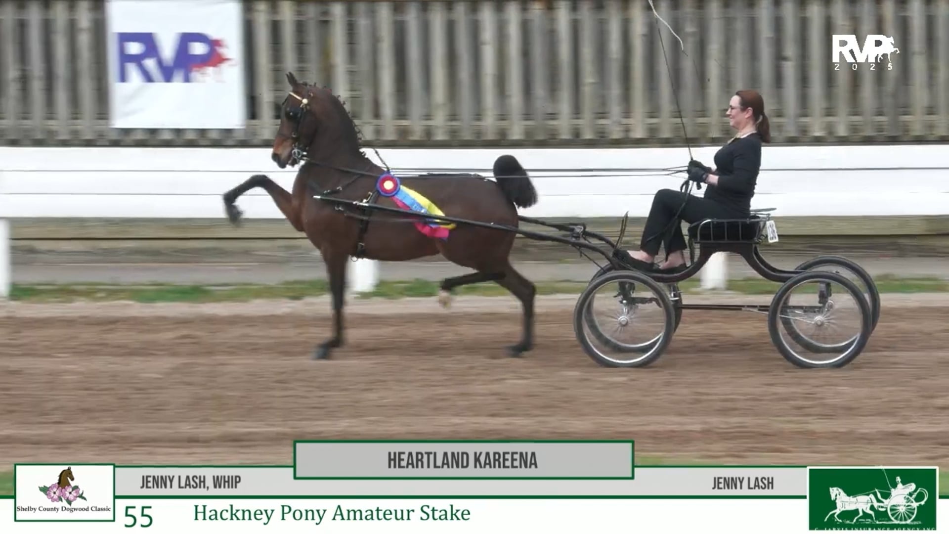 DC25 - Class 55 - Heartland Kareena and Jenny Lash, Whip