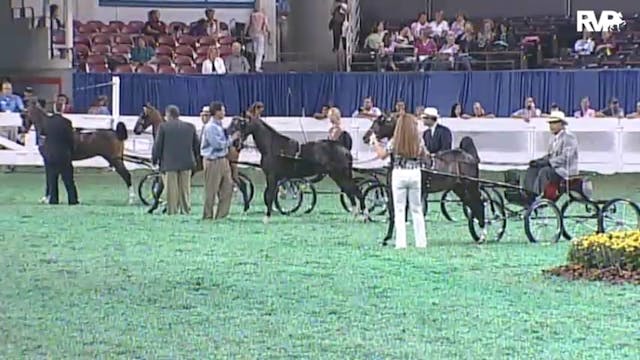 2010 World's Championship Horse Show ...