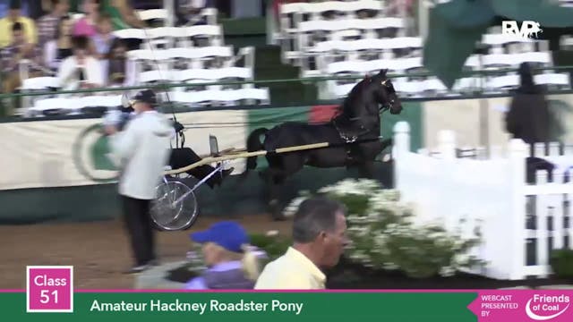 2015 LJL - Class 51 Amateur Hackney R...