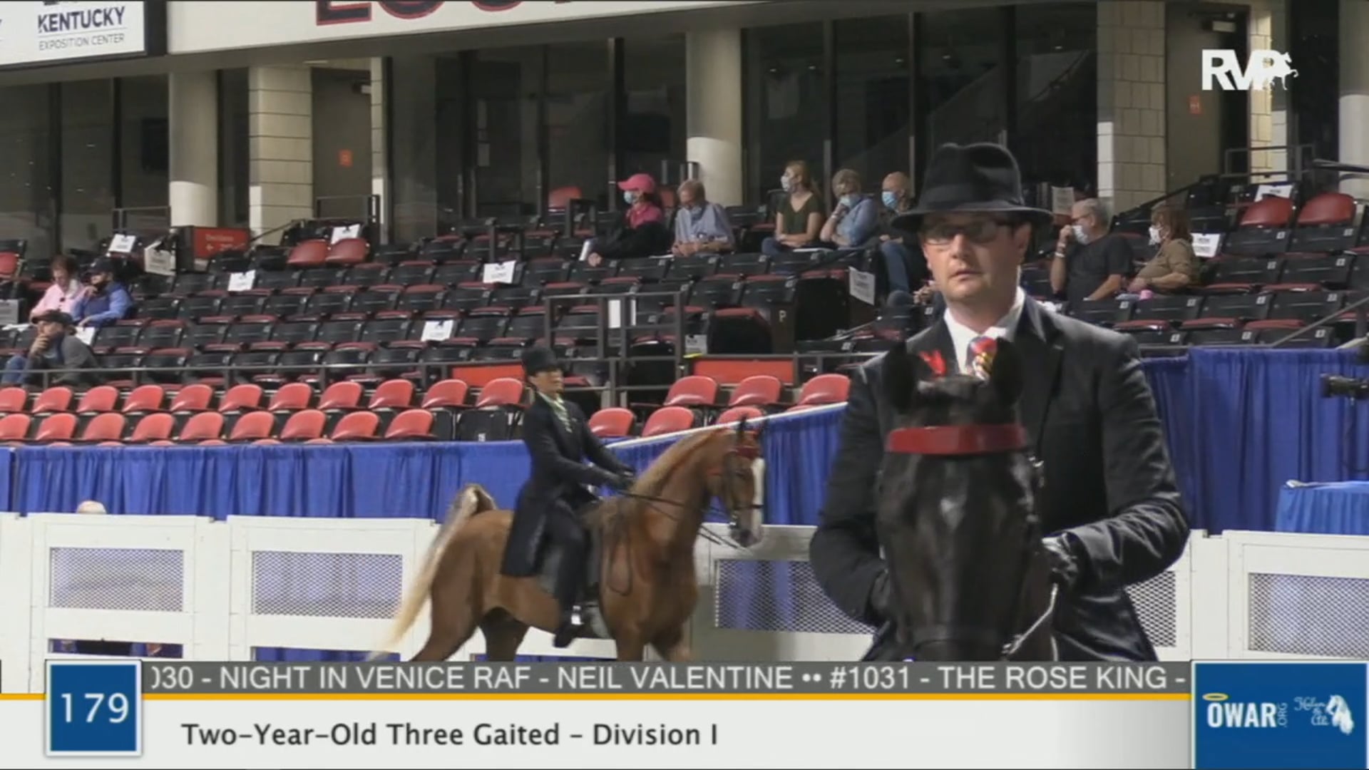 WCHS 2020 Class 179 - Two-Year-Old Three Gaited - Division I