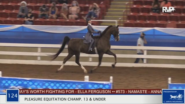 BR20 - Class 124 Pleasure Equitation ...