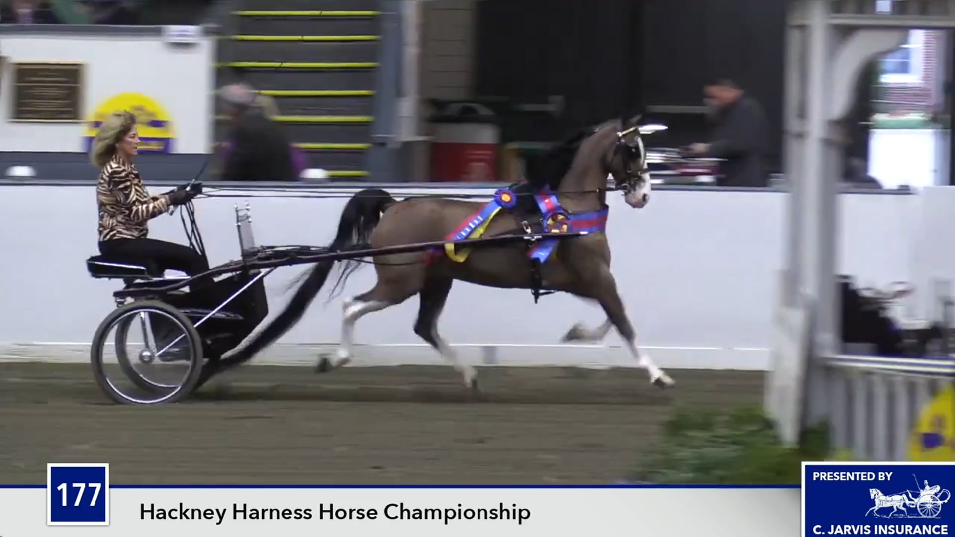 UPHACh14 17 - Red Sox Nation - Championship