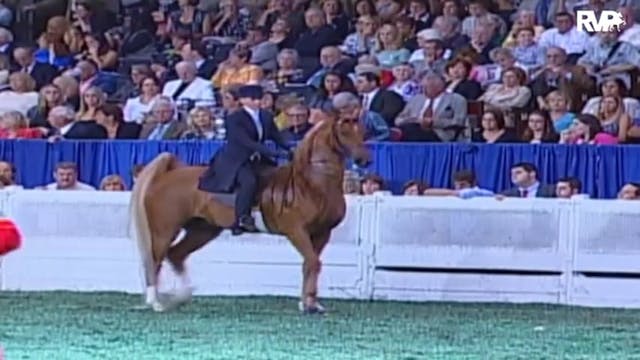 2009 World's Championship Horse Show ...