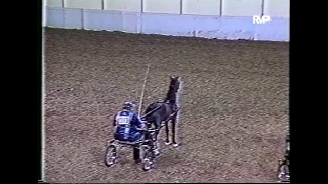 1987 American Royal - Roadster Pony 4...