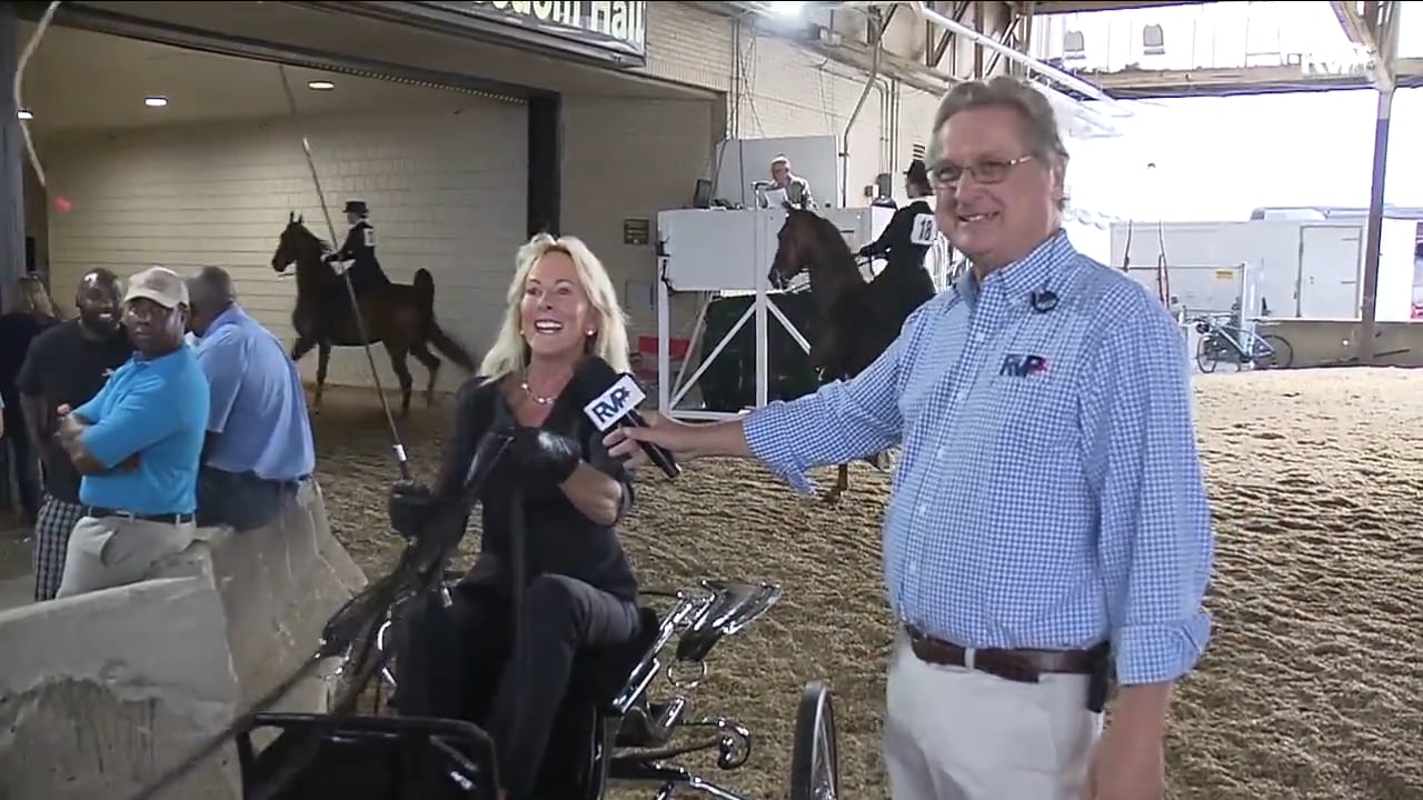 WCHS18 Class 2 - Twin Willow's Handsome Dan