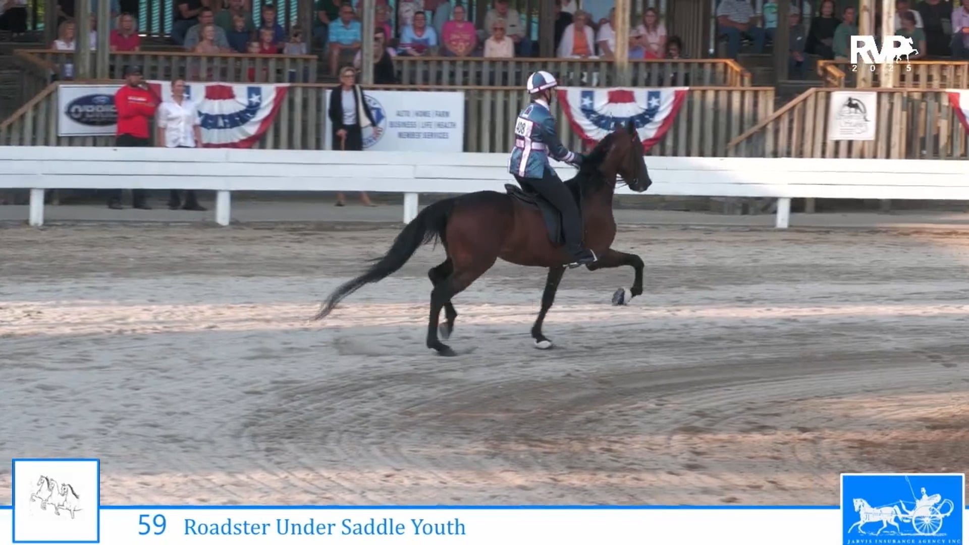 SSC25 - Class 59 - Roadster Under Saddle Youth
