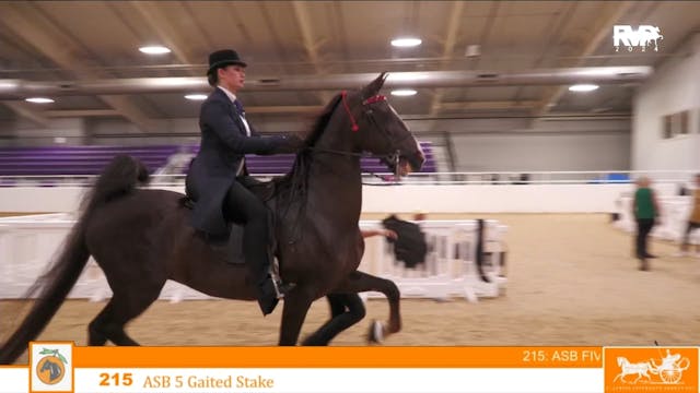 CC24 - Class 215 - ASB Five Gaited Stake