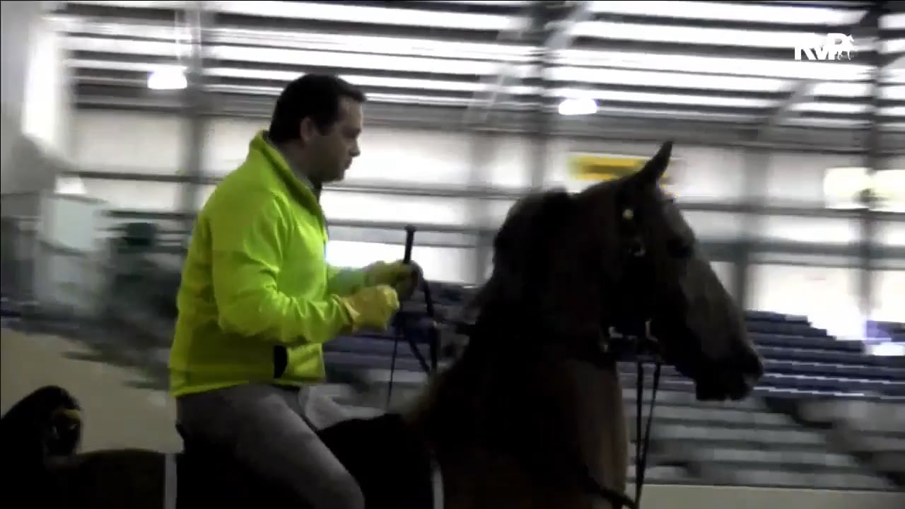 FF17 - Friday Morning