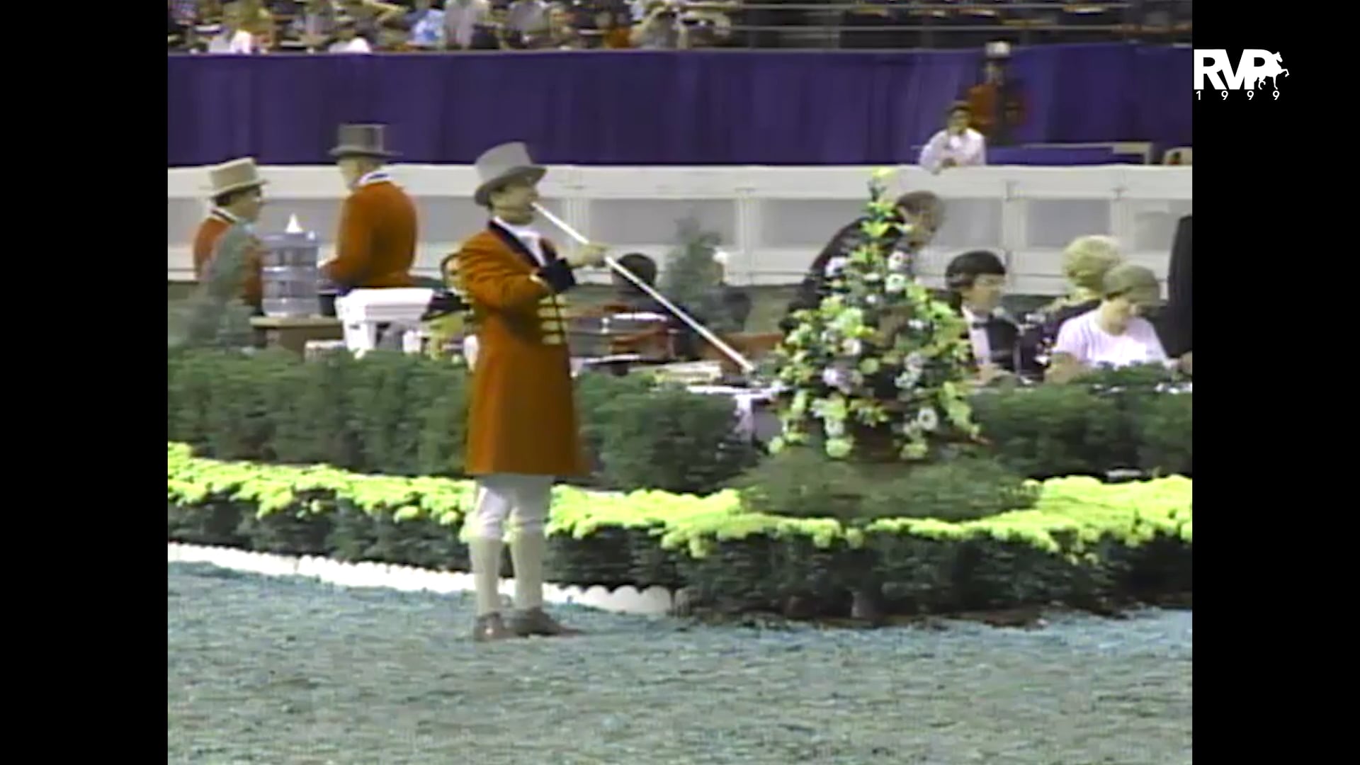 1999 WCHS - Class 143 Three Year Old Three Gaited Stake