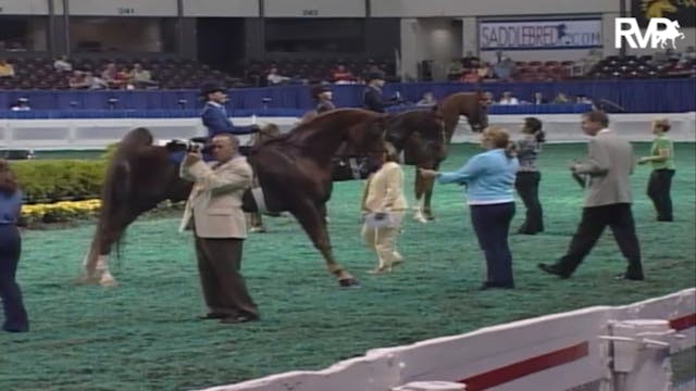 2007 WCHS Class 114 Equitation Open W...