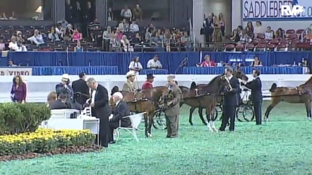 2010 World's Championship Horse Show ...