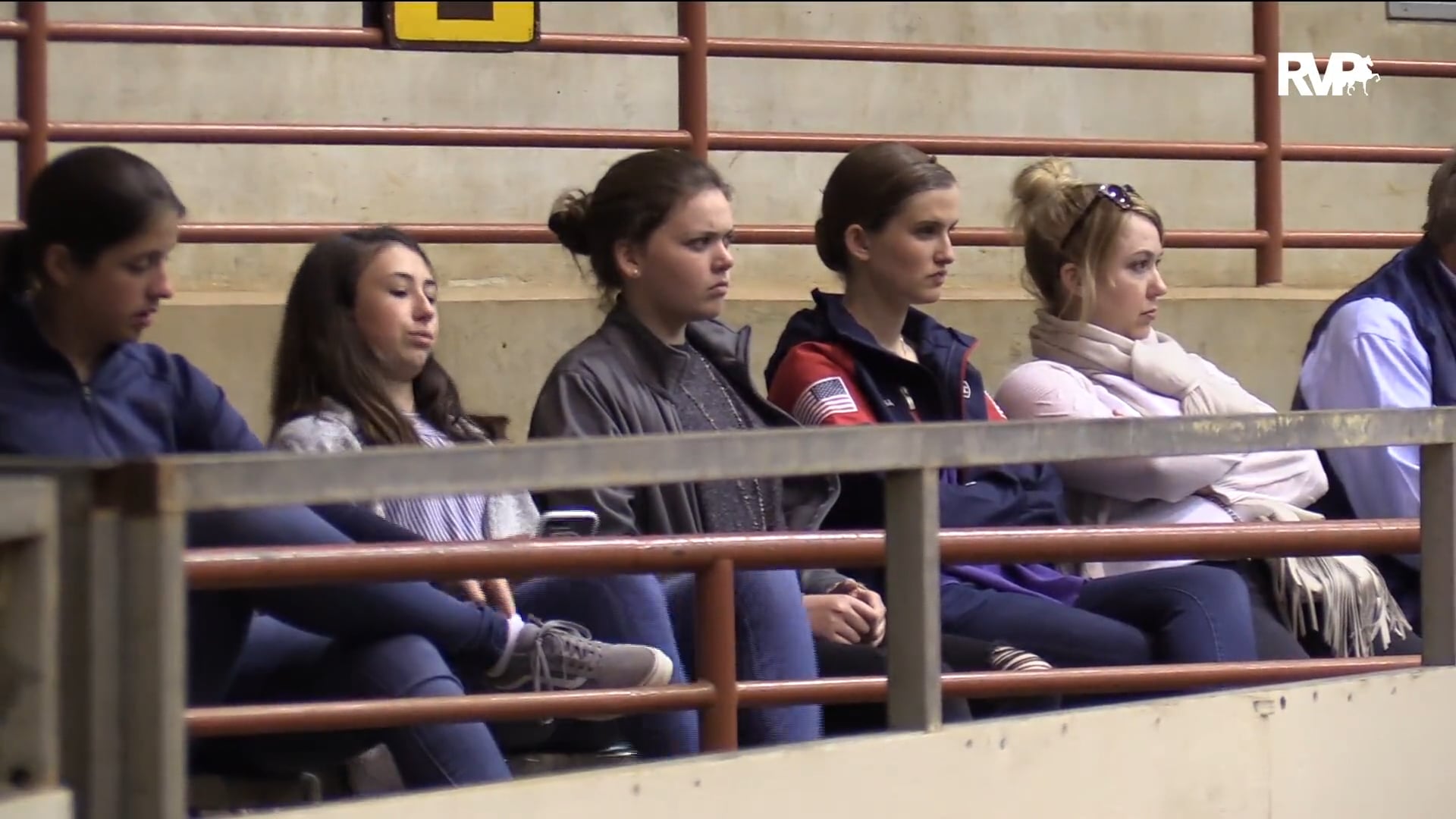 PA18 Class 103 Hackney Pony Stake