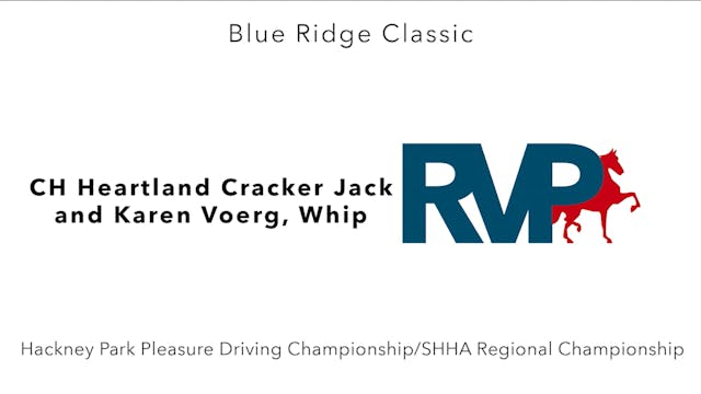BR24 - Class 150 - CH Heartland Crack...