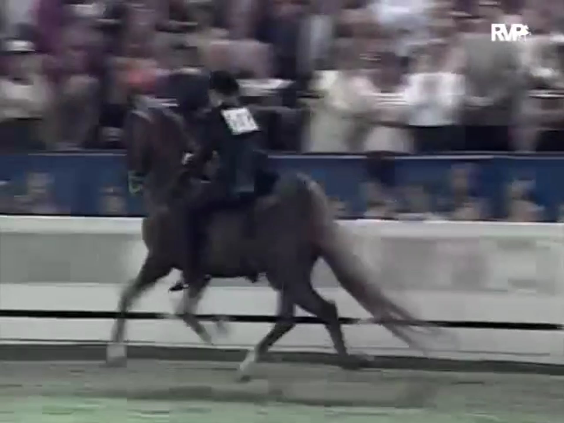 Looking Back at 
The 1995 Five Gaited World's
Grand Championship