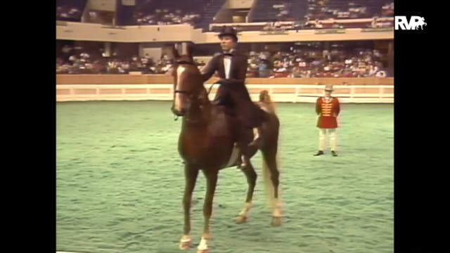 1989 WCHS Class 29 Junior Three Gaite...