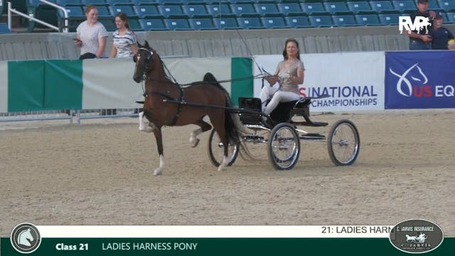 LJL22 - Class 21 - Ladies Harness Pony