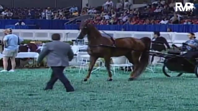 2009 World's Championship Horse Show ...