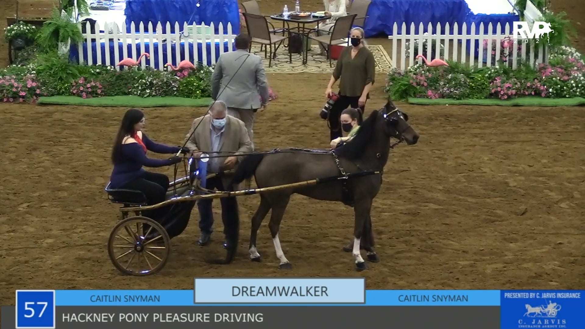 KYSP21 - Class 57 - Hackney Pony Pleasure Driving