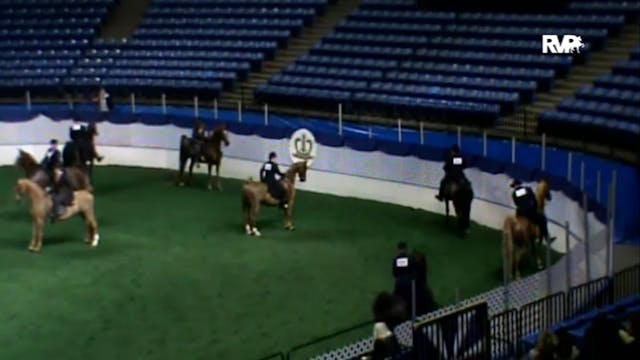 2010 American Royal - Park Pleasure O...