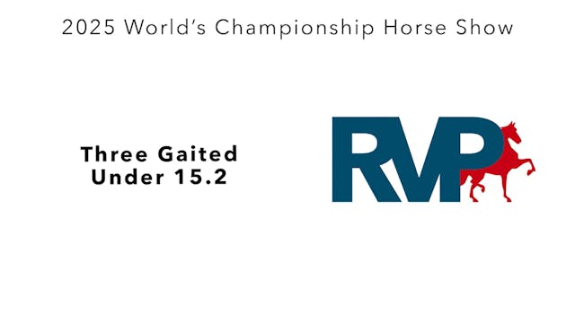 WCHS25 - Class 154 - Three Gaited Und...