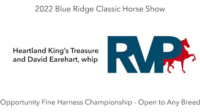 BR22 - Class 205 - Heartland King’s T...