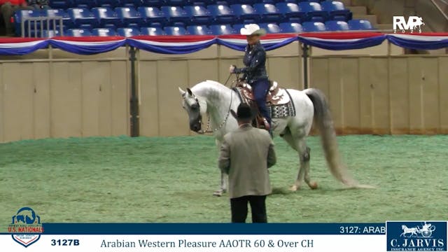 AN25 - Class 3127b - Arabian Western ...