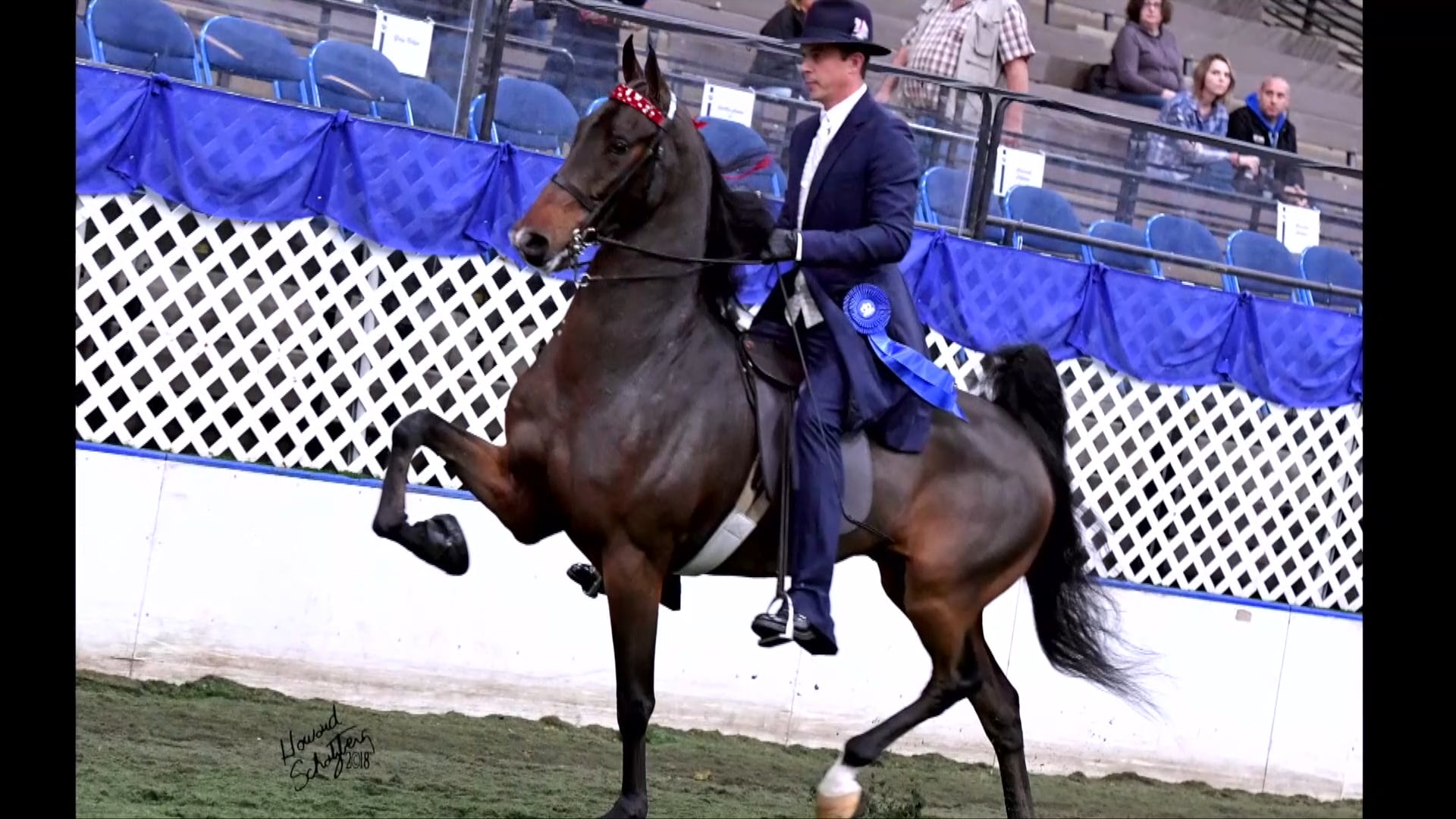 Kristen and David Cater - Helen K. Crabtree Equitation Instructor Hall of Fame 