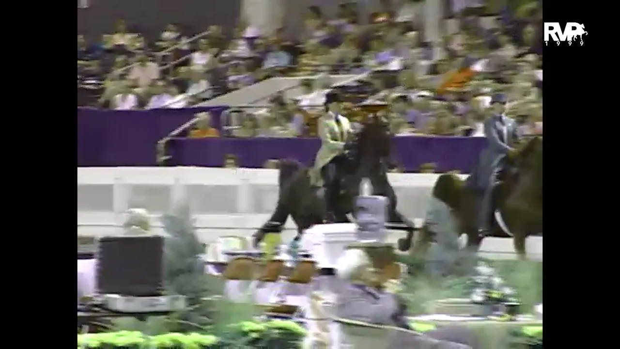 1999 WCHS - Class 211 ASB Three Gaited Show Pleasure Junior Exhibitor ...
