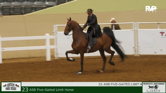 KYSP24 - Class 23 - ASB Five Gaited L...