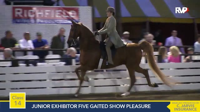 2015 RC - Class 14 Junior Exhibitor F...