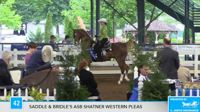 DC17 - Quinella - Class 42