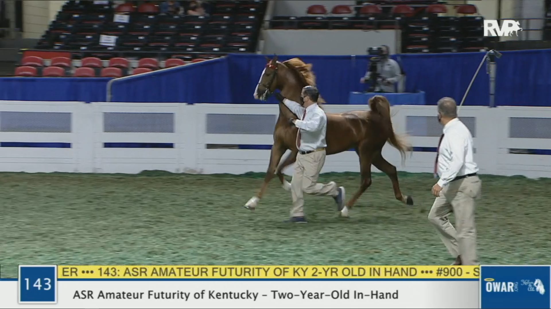 WCHS 2020 Class 143 - ASR Amateur Futurity of Kentucky - Two-Year-Old In-Hand