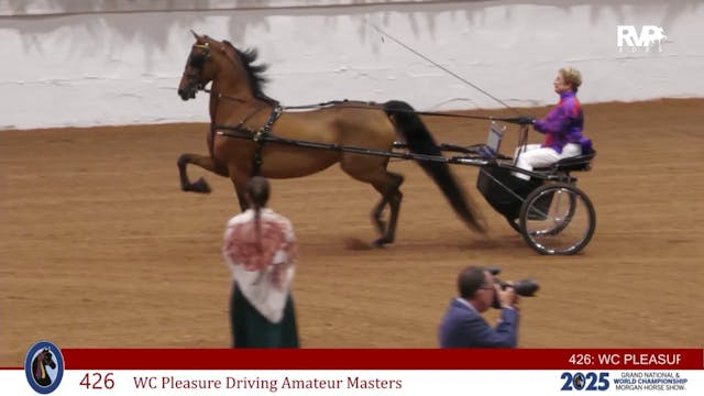 MGN25 - Class 426 - WC Pleasure Drivi...