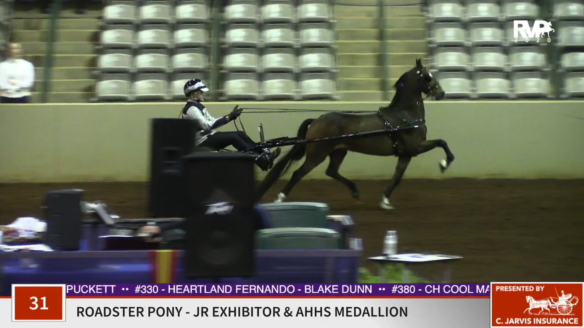 2020 SSFF - Class 31 Junior Exhibitor Roadster Pony
& AHHS Medallion 