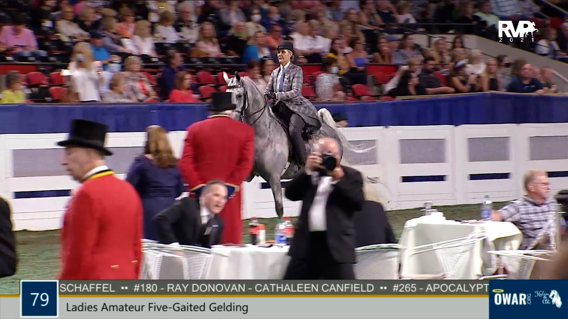 WCHS21 - Class 79 - Ladies Amateur Five-Gaited Gelding