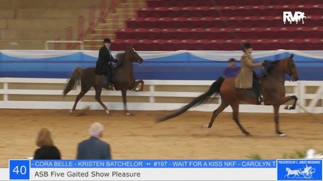 ASF23 - Class 40 -  ASB Five Gaited S...