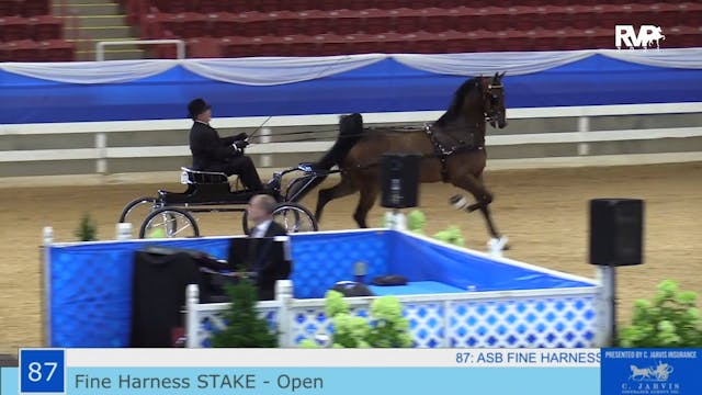ASF21 - Class 87 - ASB Fine Harness O...