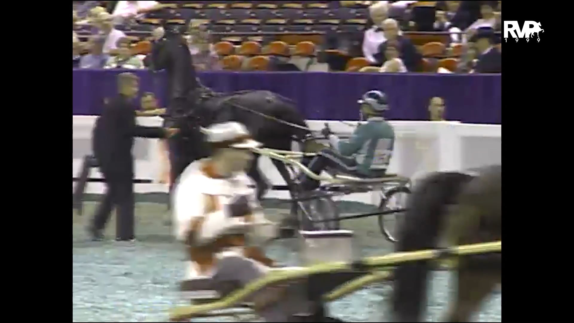 1999 WCHS - Class 103 Roadster To Bike Stallion-Gelding Stake