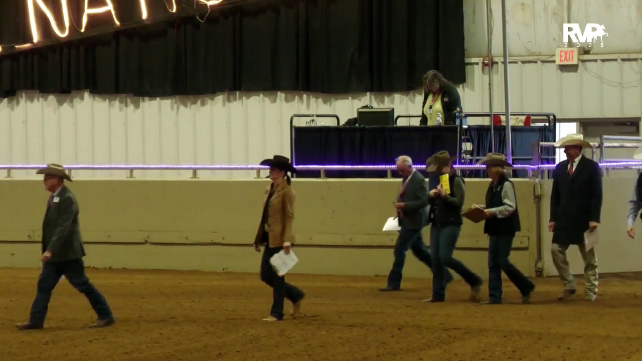 2025 Arabian Nationals - Tuesday Evening - Mustang