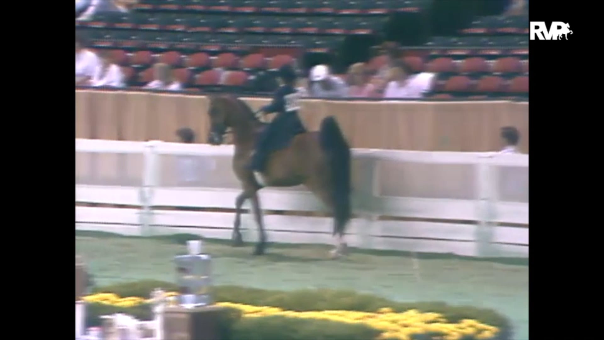 1989 WCHS Class 83 Equitation - UPHA Walk- Trot 
9-10 Years Old Division 1