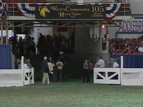2008 WCHS Class 77  Amateur Road Hors...
