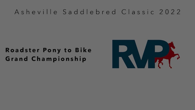 ASC22- Class 127- Roadster Pony to Bike Grand Championship